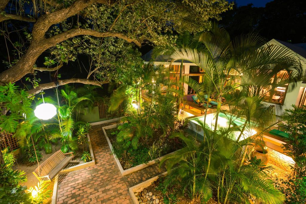 Casa Gallina Sandy Bay エクステリア 写真