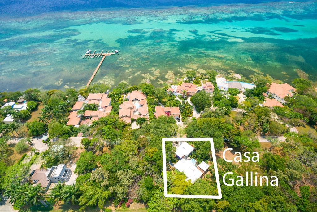 Casa Gallina Sandy Bay エクステリア 写真